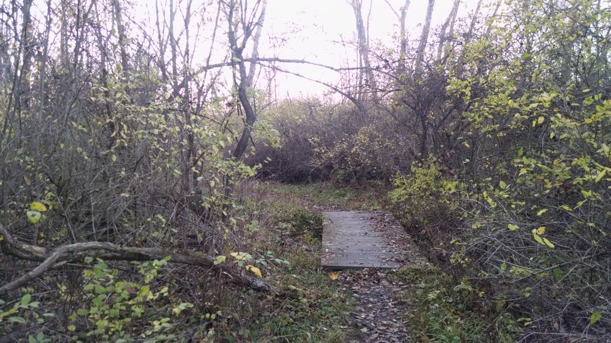 It’s not a good hike unless you get&nbsp;dirty!