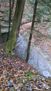 IMG_20151213_110445909