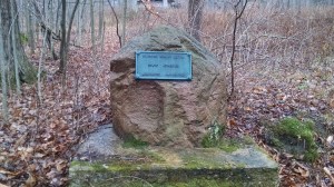 IMG_20151213_111652927