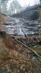 IMG_20151213_115515109