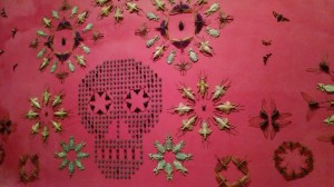 IMG_20160108_151931394