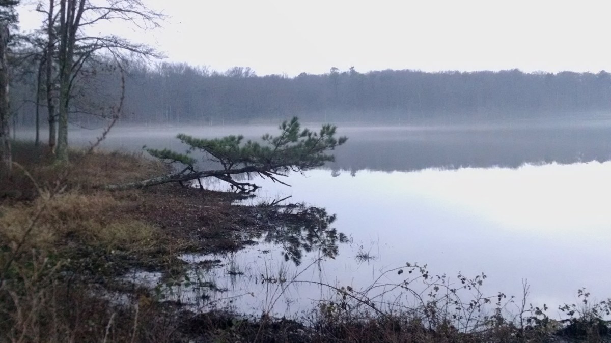 REI and D.C.&nbsp;Parks