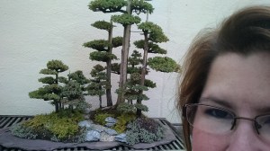 IMG_20160110_122044441