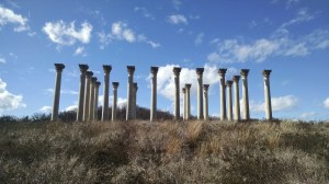 IMG_20160110_124649471