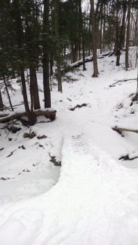 IMG_20160123_104032874