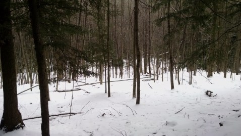 IMG_20160123_113733737