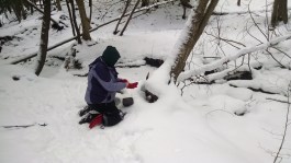 IMG_20160123_121107375