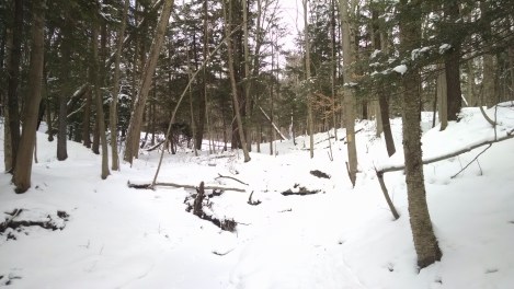 IMG_20160123_121141887