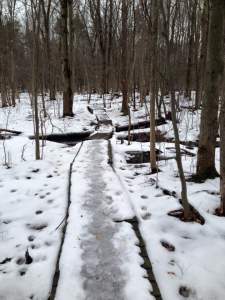 facebook_1455473863516