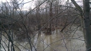 IMG_20160203_172811695