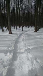 IMG_20160220_111601818