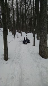 IMG_20160220_115033517