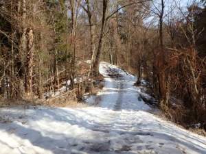 facebook_1456942738714