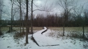 IMG_20160227_104024288 (1)