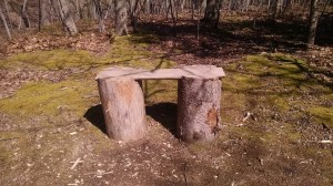 IMG_20160319_141804429