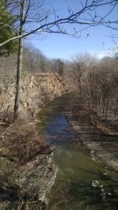 IMG_20160319_142445894