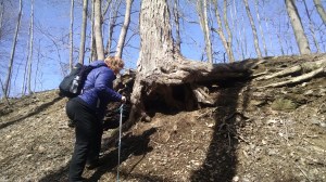 IMG_20160319_144317883