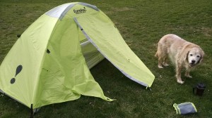 IMG_20160320_161938638