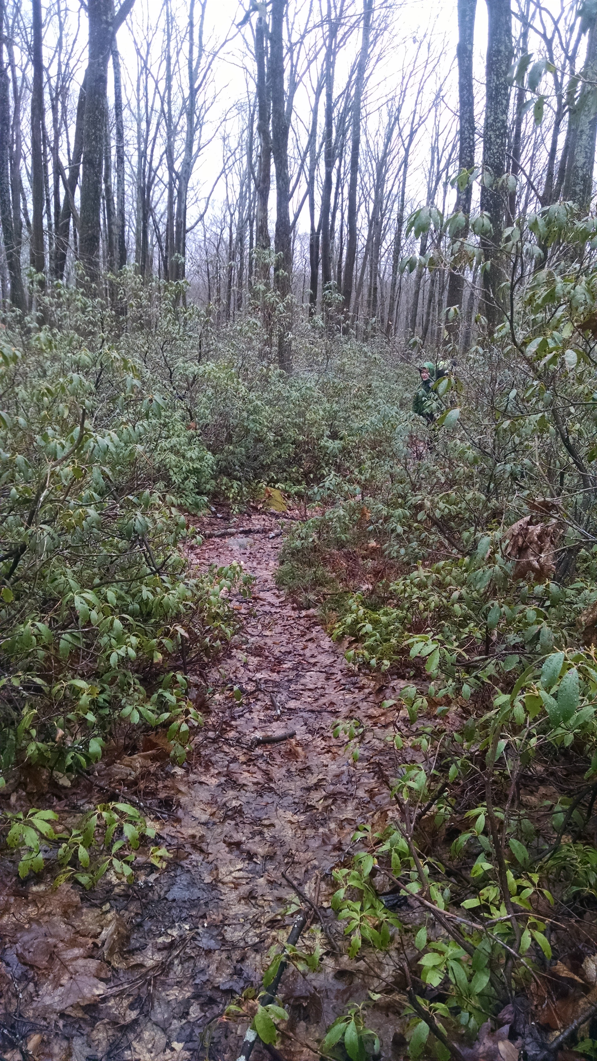 IMG_20160325_115510031