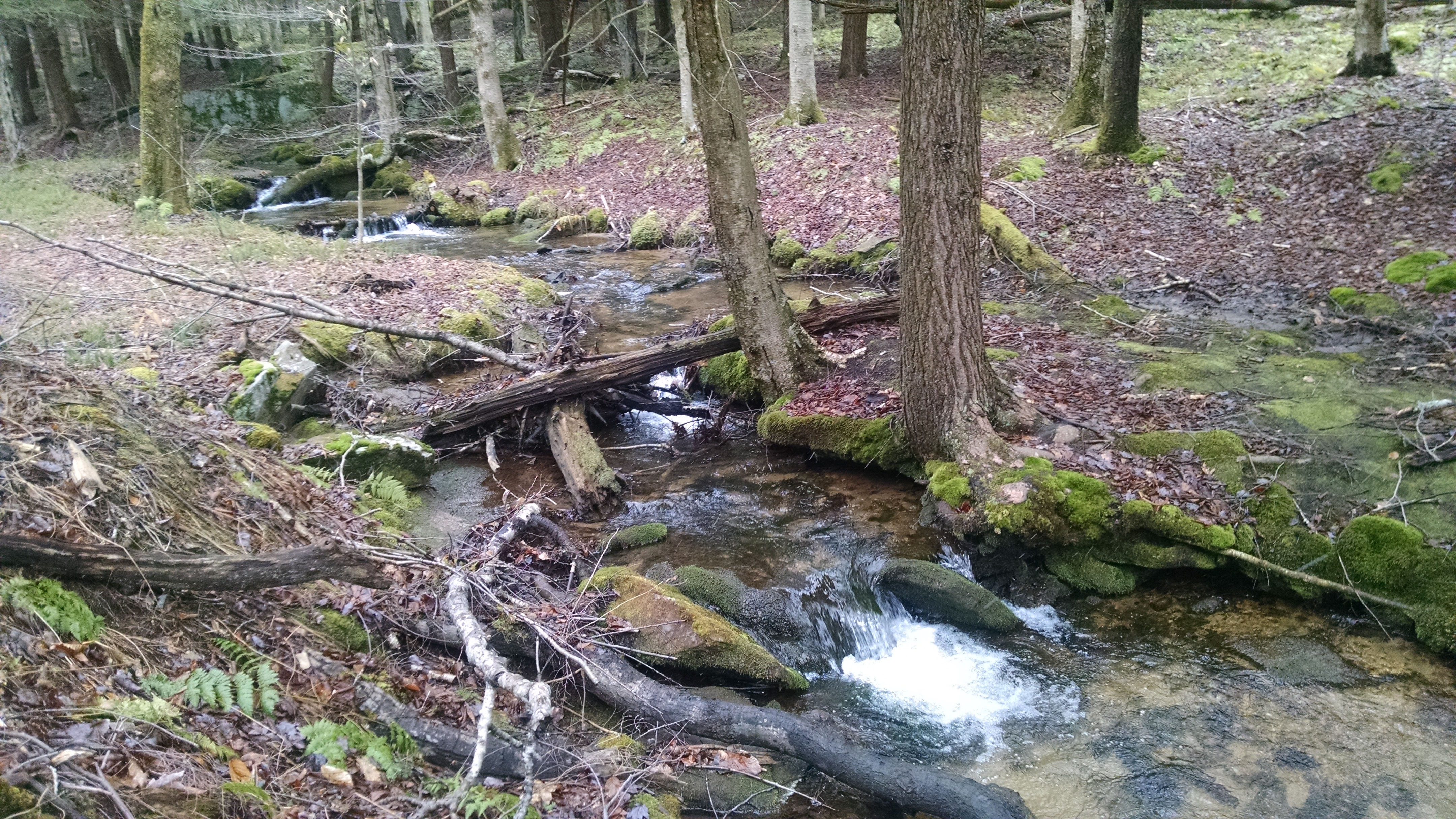 IMG_20160325_130033844