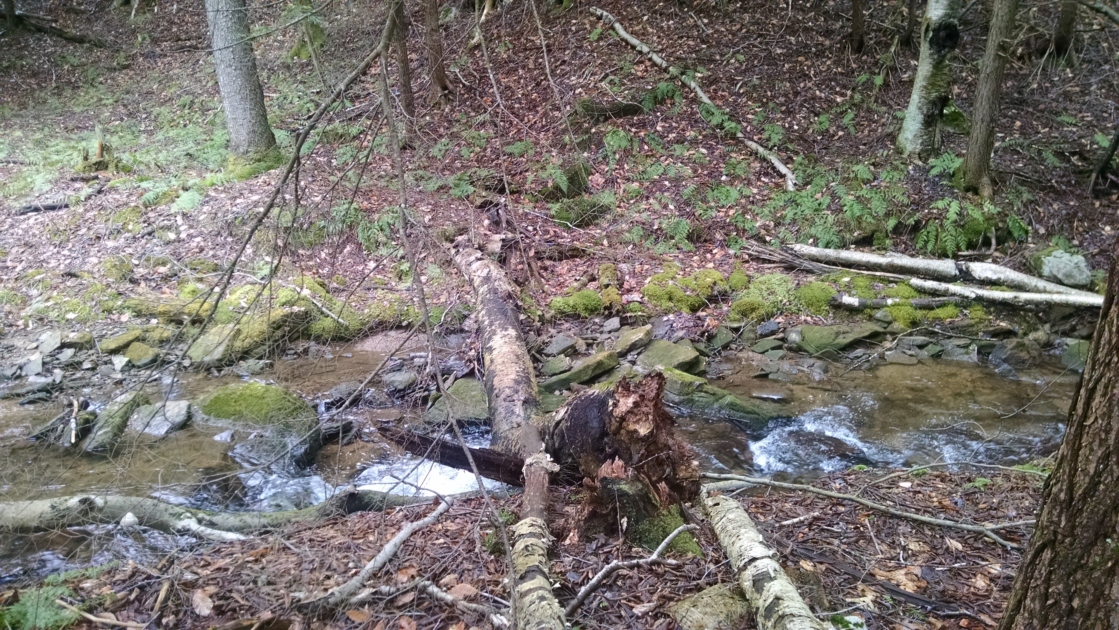 IMG_20160325_134152458