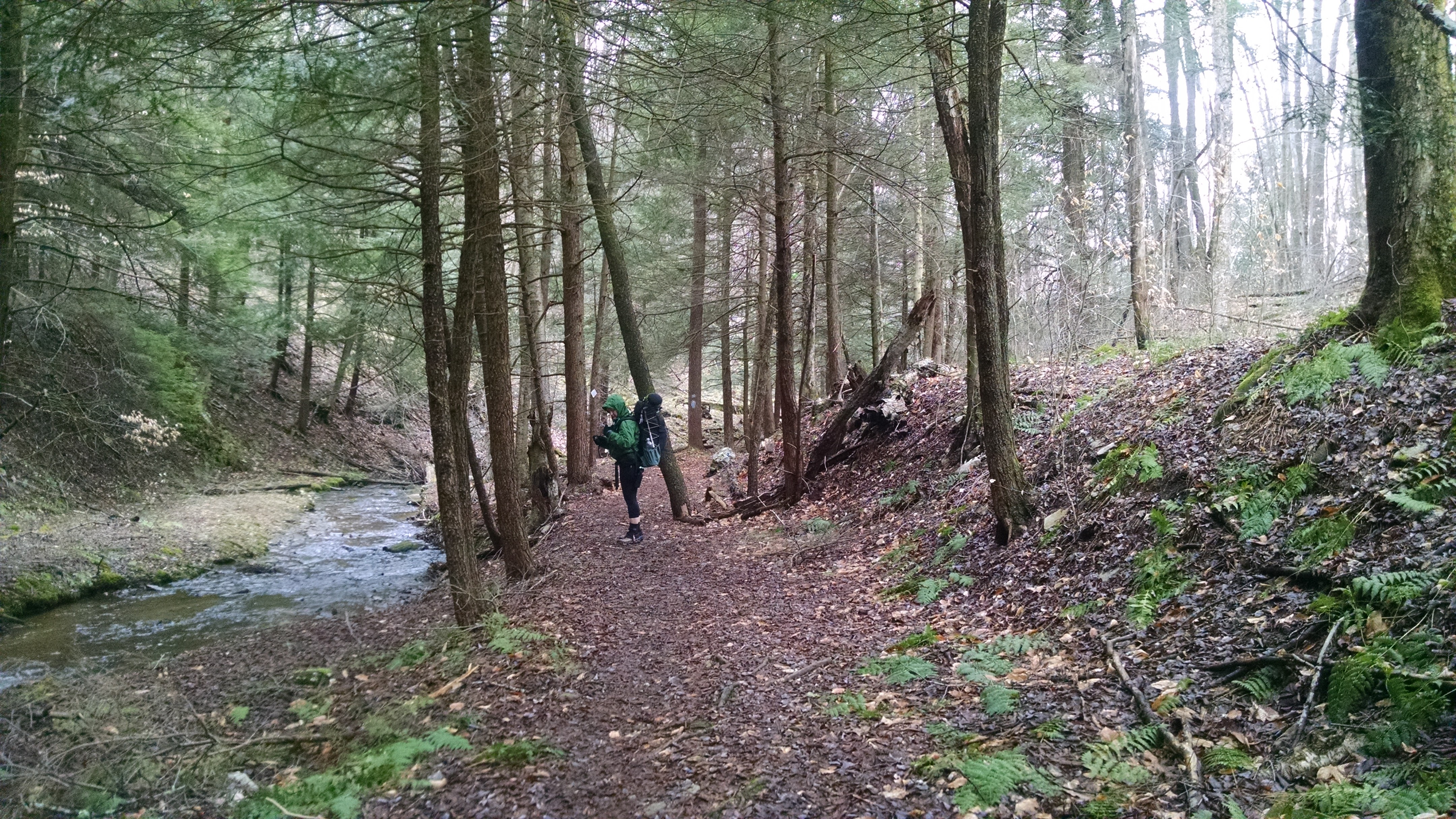 IMG_20160325_134201057