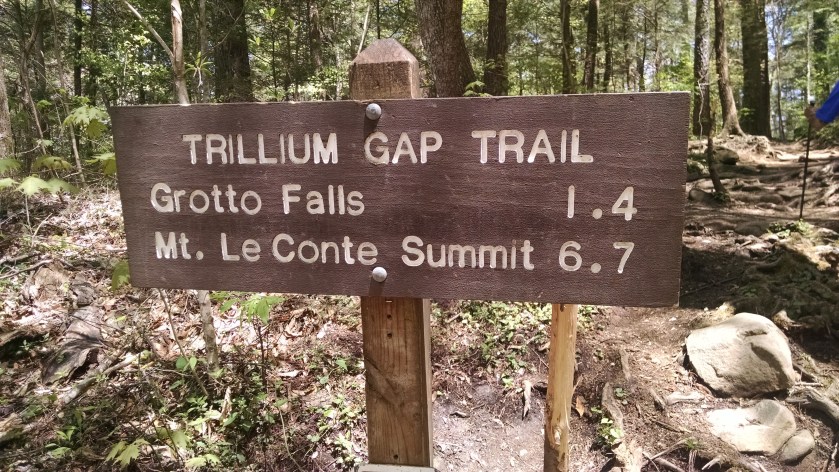 IMG_20160424_140337035