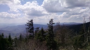 IMG_20160425_150214365