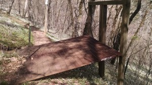 IMG_20160425_153936038