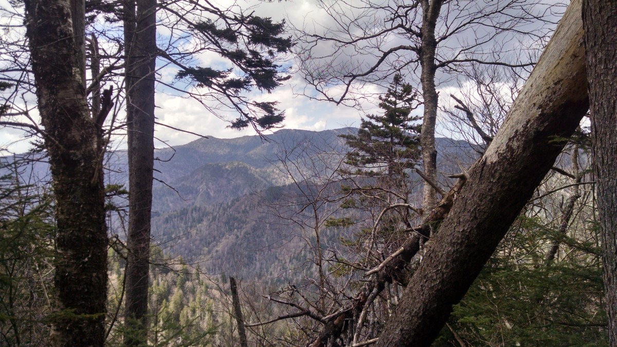 One day of Amazing Adventure in the Great Smoky Mountain National&nbsp;Park