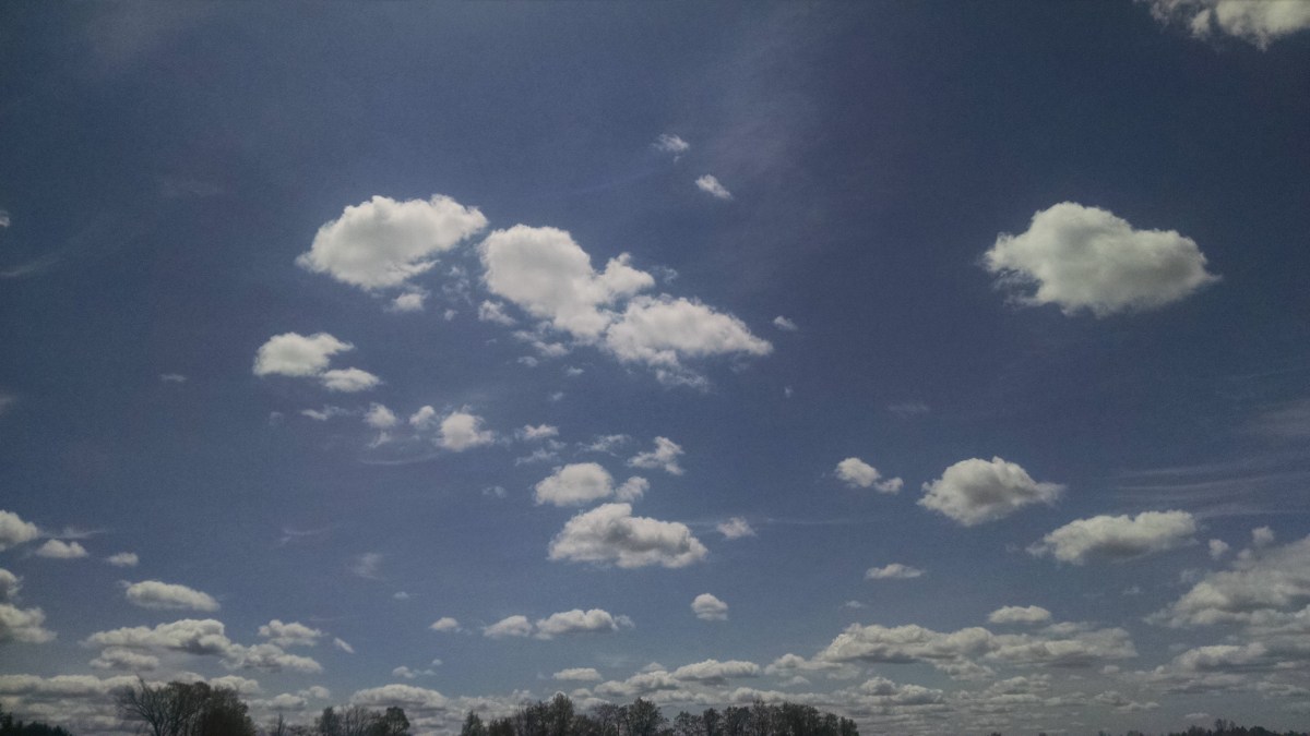 Appalachian Trail Dreaming