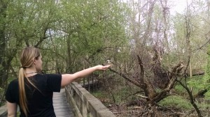 IMG_20160512_175524118