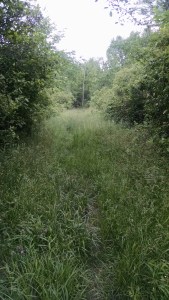 IMG_20160612_152755845