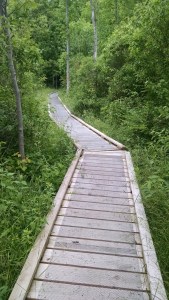 IMG_20160612_152854453