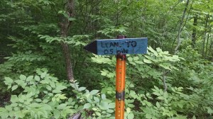 IMG_20160612_152948059