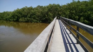 IMG_20160619_113554821