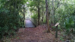 IMG_20160625_165753935