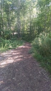 IMG_20160802_175419590