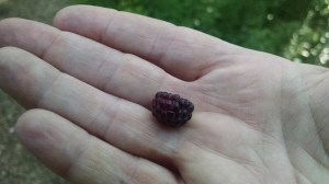 IMG_20160802_175514275