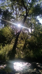 IMG_20160802_180250237