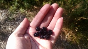 IMG_20160802_180544155