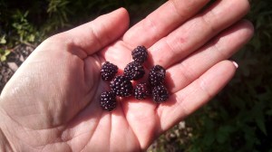 IMG_20160802_180758977_HDR