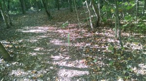 IMG_20160802_182826434