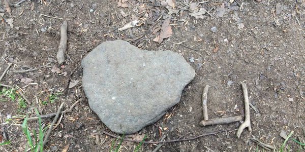 bb58af1f-e2eb-4b80-9297-eabf2cad9800-3235-0000090edce6a3f8_tmp