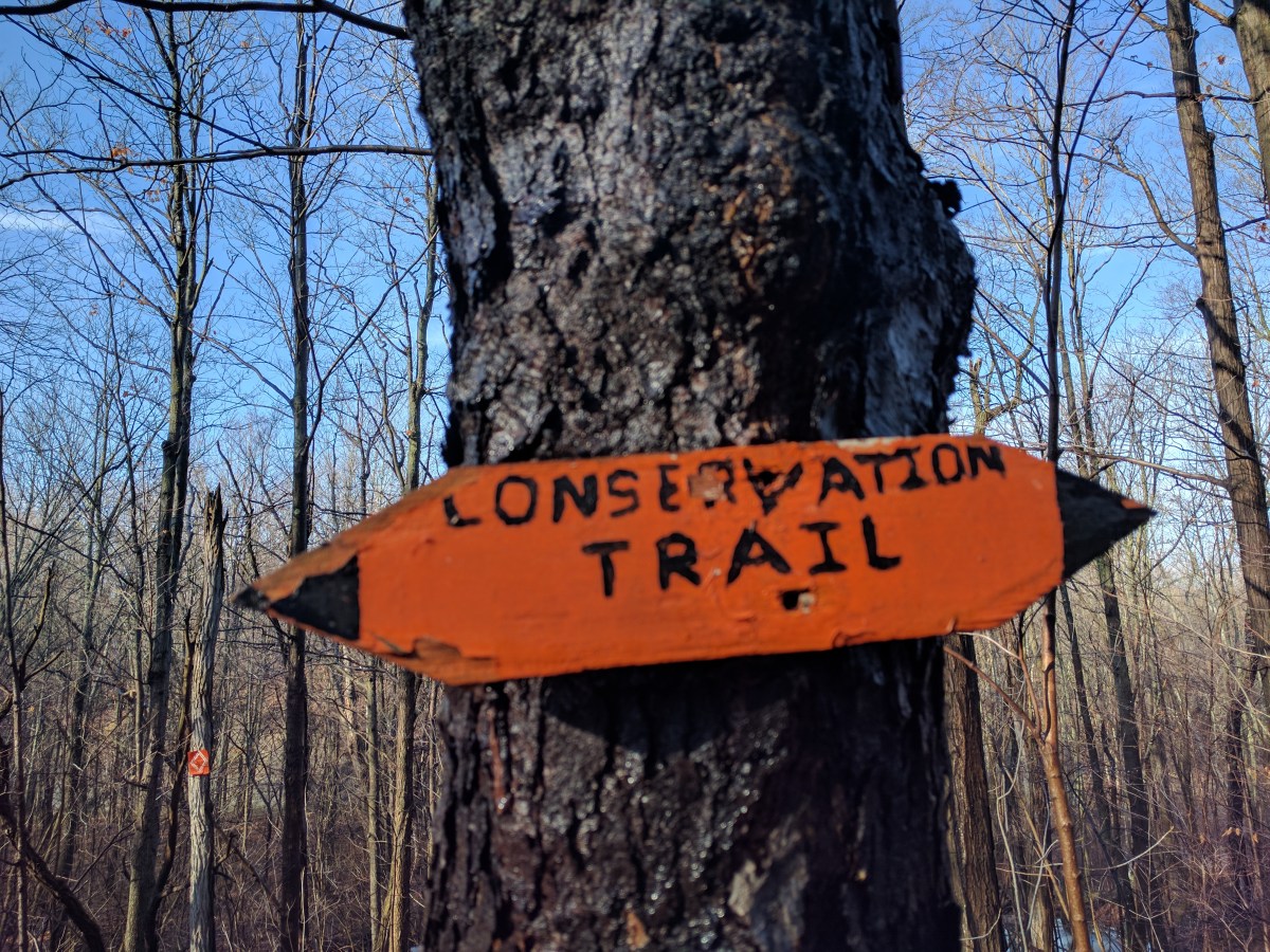 Conservation Trail – Mammot Rd to Sumner&nbsp;Rd