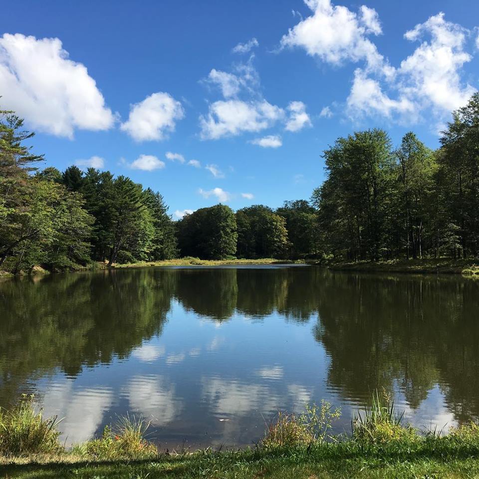 Distractions, Challenges and Gettin’ it&nbsp;DONE!