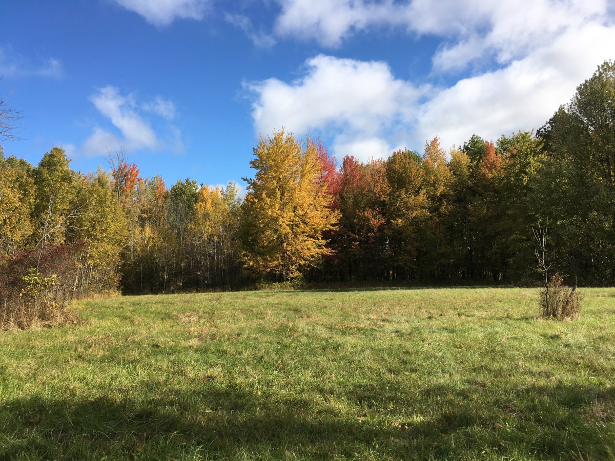 You win some.  You lose&nbsp;some.