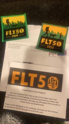 FLT50