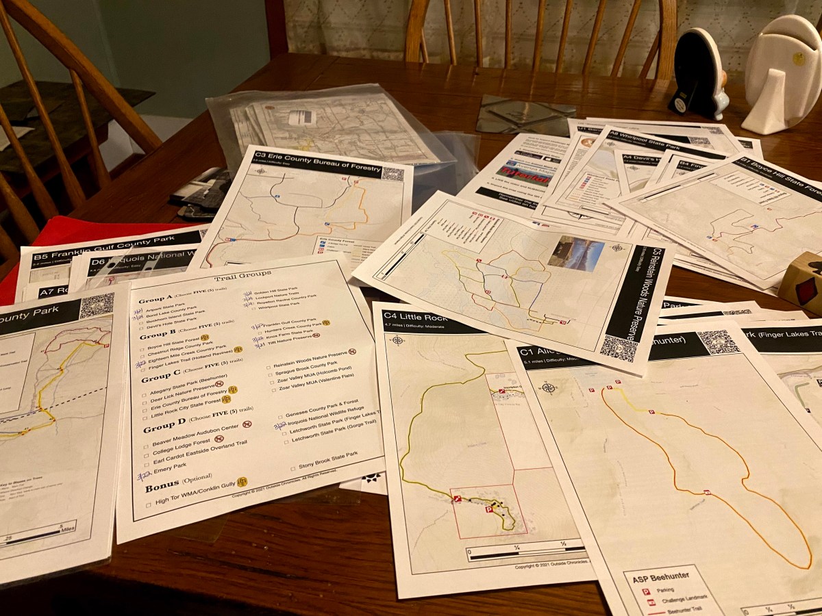 Déjà vu All Over&nbsp;Again